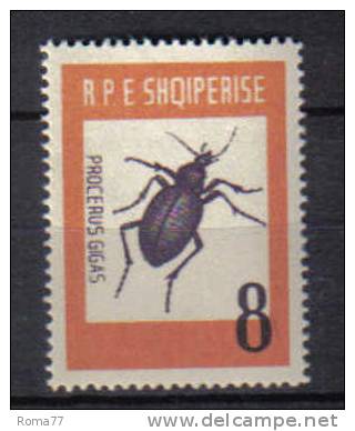 SS1136 - ALBANIA , Yvert  N.  618  *** - Albania