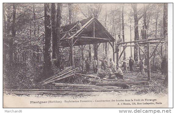 MORBIHAN.PLUVIGNER.EXPLOITATION FORESTIERE CONSTRUCTION DES ECURIES DANS LA FORET DE FLORANGES - Pluvigner