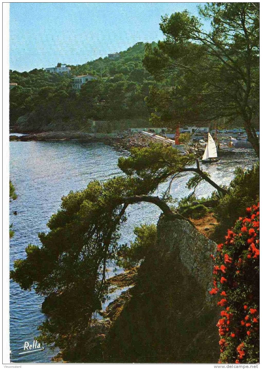 CPSM.  LA COTE D'AZUR. CONTRE JOUR. DATEE 1979. FLAME. - Controluce