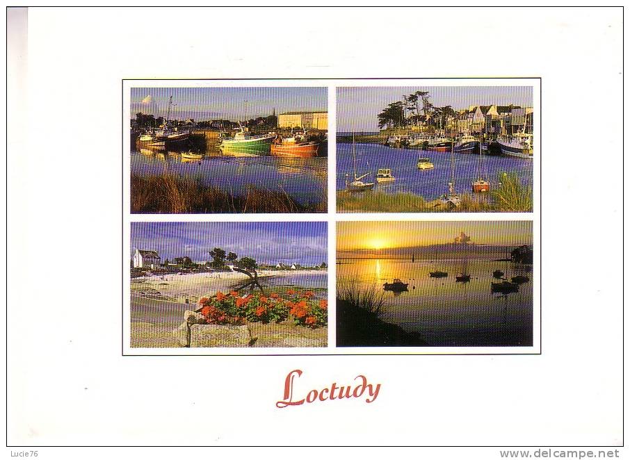 LOCTUDY  -  Le Port Et Les Plages - Loctudy