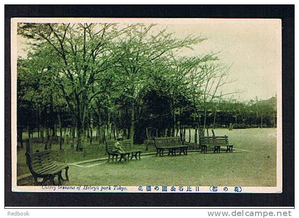 Early Postcard Chirey Brosome Of Hebeya Park Tokyo Tokio Japan - Ref 398 - Tokio