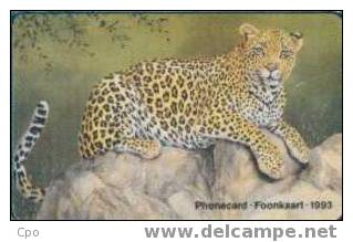 # SOUTH_AFRICA SAEGD Leopard 10 Gpt -animal,leopard- Tres Bon Etat - Suráfrica