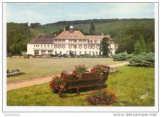 LIEBFRAUENTHAL   -   ** MAISON DE REPOS DE LA S.S.MINIERE **   -   Editeur : PIERRON     N° 9511 - Woerth