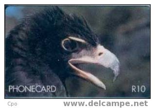 # SOUTH_AFRICA SAEGN Black Eagle 10 Gpt  -aigle,eagle,oiseaux,bird S- Tres Bon Etat - Afrique Du Sud
