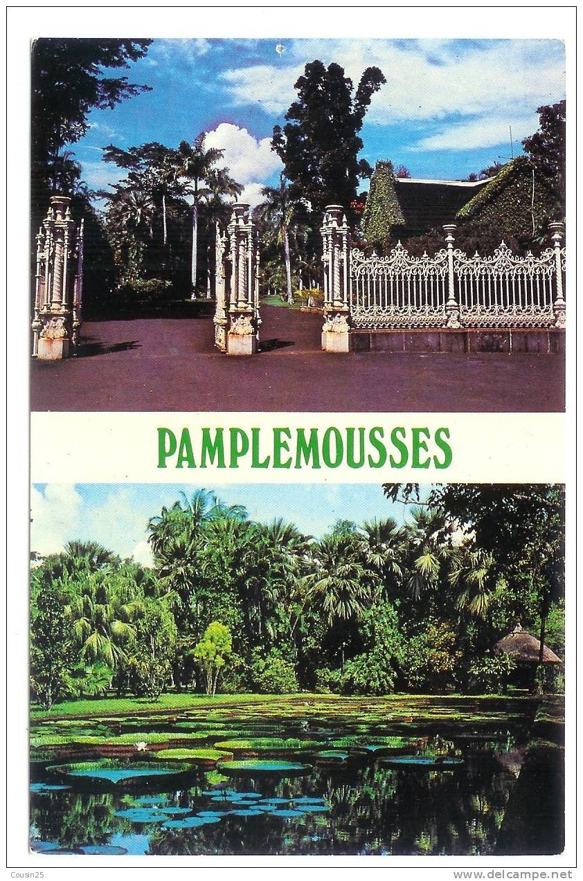 ILE MAURICE : Lot De 5 Cartes Modernes - Maurice