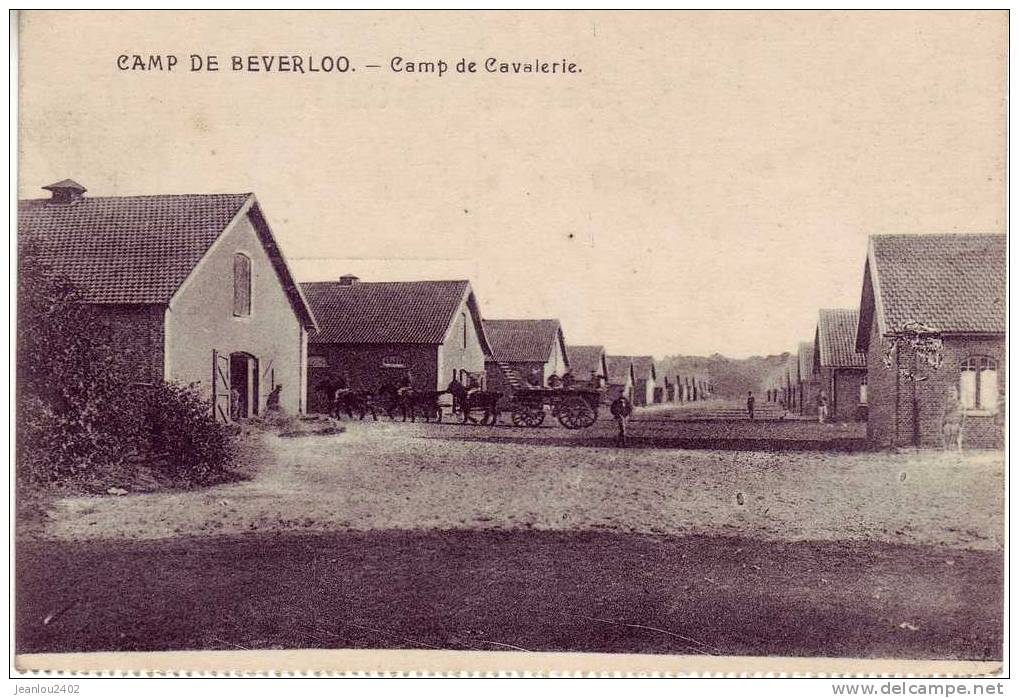CAMP DE  BEVERLOO - CAMP DE CAVALERIE - Leopoldsburg (Beverloo Camp)