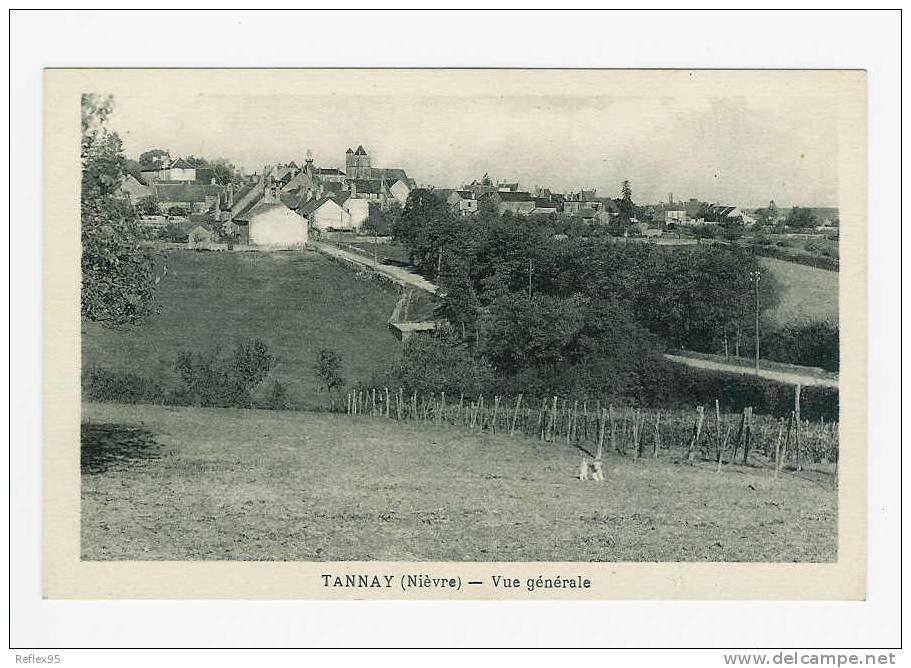 TANNAY - Vue Générale - Tannay