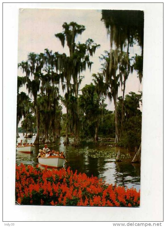 - USA . FL. MIAMI BEACH . FLORIDA´S CYPRESS GARDENS - Miami Beach