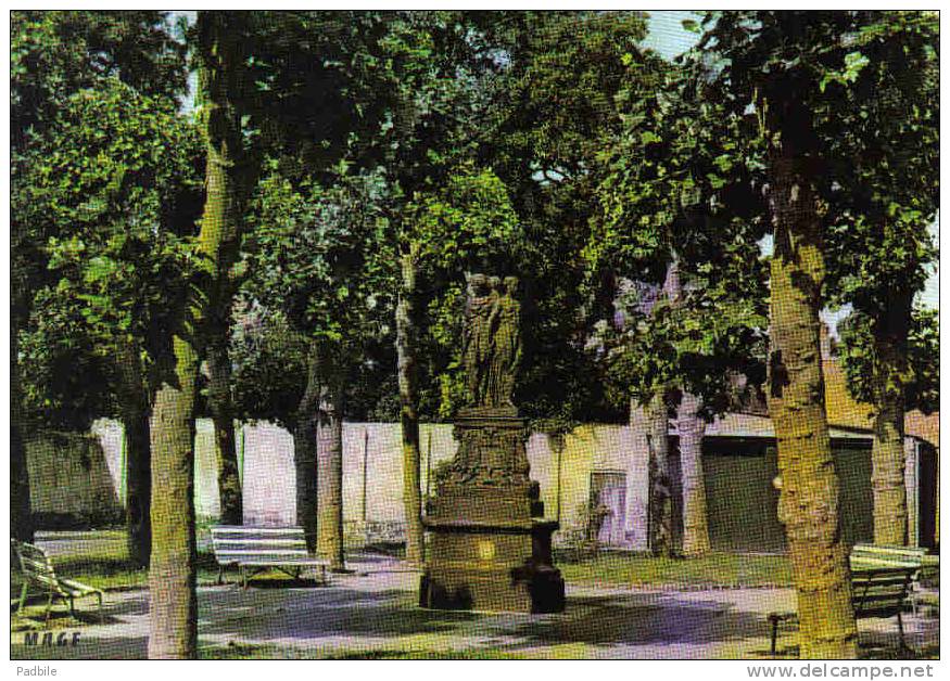 Carte Postale 59.  Bergues  Place St-Victor Trés Beau Plan - Bergues