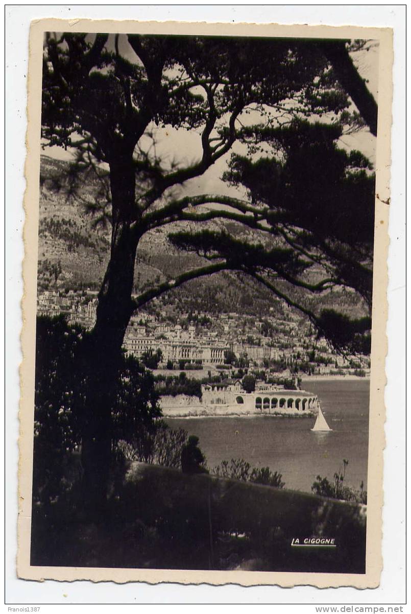 Réf 150  - MONACO - Vue Prise Des Jardins Saint-Martin - Mehransichten, Panoramakarten