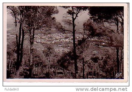 CPA.   TLEMCEN.       Vue Générale Prise De Lalla Sitti. - Tlemcen