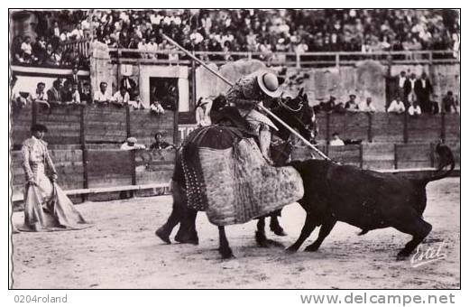 Picador En Action - Taureaux