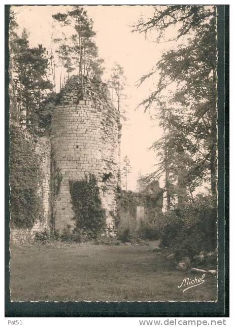 CORREZE -  Egletons : Château De Moustier Ventadour - Egletons