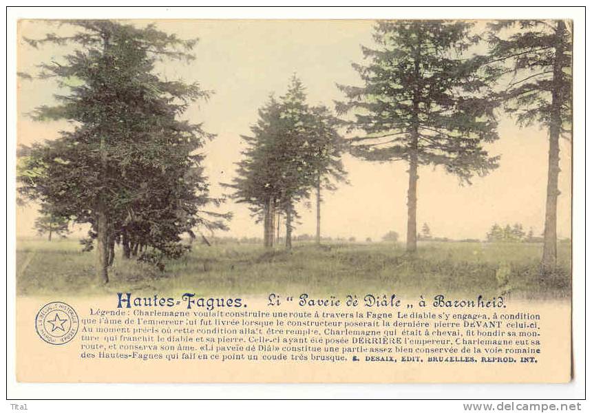 10547 - HAUTES FAGNES - Li " Paveïe Dè Diâle"à Baronheid    *en Couleurs* - Jalhay