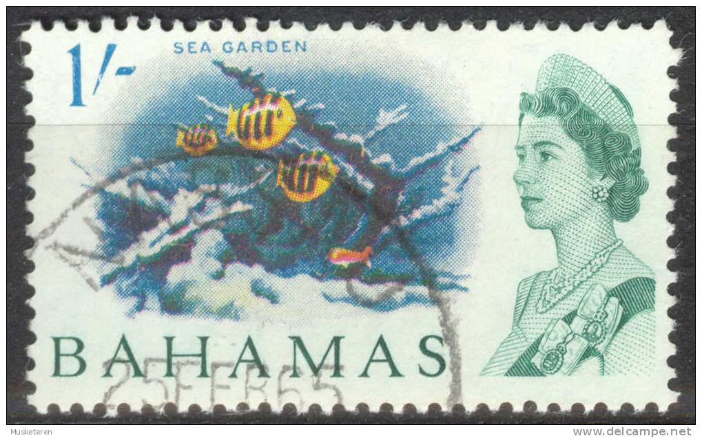 Bahamas 1965 SG 256 1/- Queen Elizabeth II & Sea Garden Perf. ERROR Top Left Corner !! - 1859-1963 Crown Colony
