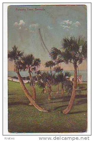 Postcards - Bermuda - Other & Unclassified