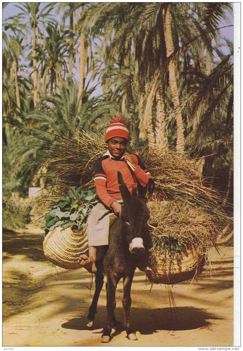 TUNISIE Nefta Dans La Palmeraie - Açores