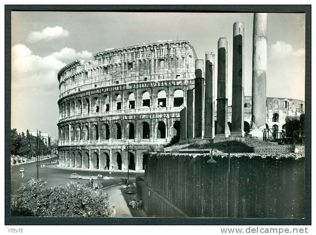 LAZIO, ROMA, ROME : Il Colosseo, Le Colisée, Coliseum, Kolosseum (no Circolata) - Colosseum