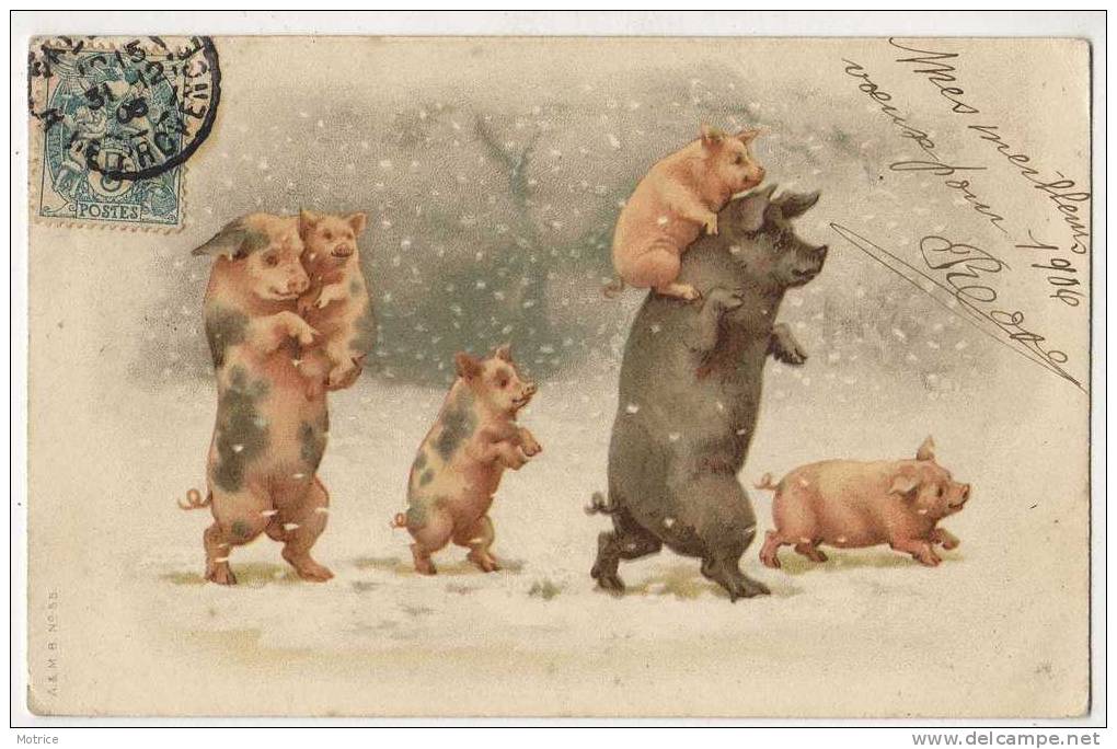 LA FAMILLE COCHON SOUS LA NEIGE. - Cochons