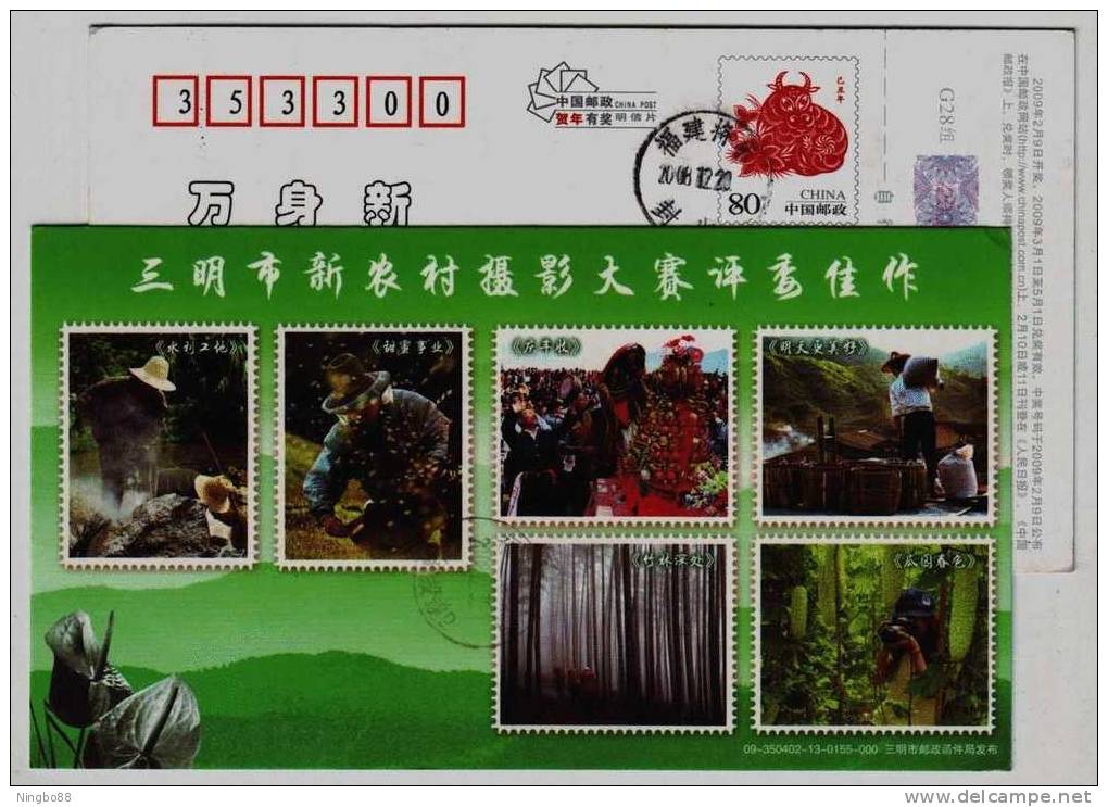 Beekeeping Apiculture,bamboo Forest,camera,CN09 Top Artwork Of New Village Photography Contest Advert Pre-stamped Card - Fotografie