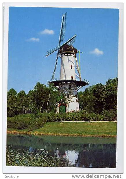 Cpm THOLEN De Hoop  Moulin  Korenmolen  Moulin à Blé - Tholen