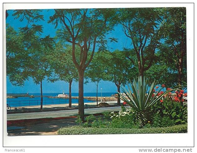 Sicilia MAZARA DEL VALLO Trapani 1958 Viaggiata- Formato 10x15 Cm Circa - Mazara Del Vallo