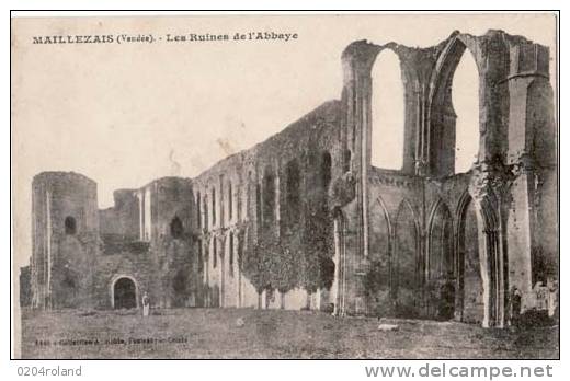 Maillezais - Les Ruines De L'Abbaye - Maillezais