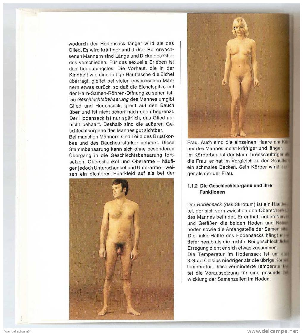 Junge, Madchen, Mann Und Frau Für 12 - 16 Jährige Aus Dem Gütersloher Verlagshaus Gerd Mohn 3. Auflage 1976 - Sapere