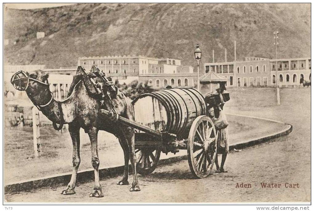 Cpf1588 -  ADEN - Water Cart - Harnessing Drawn By A Dromedary - (Turkish Shop - Benghiat Son) - Yemen