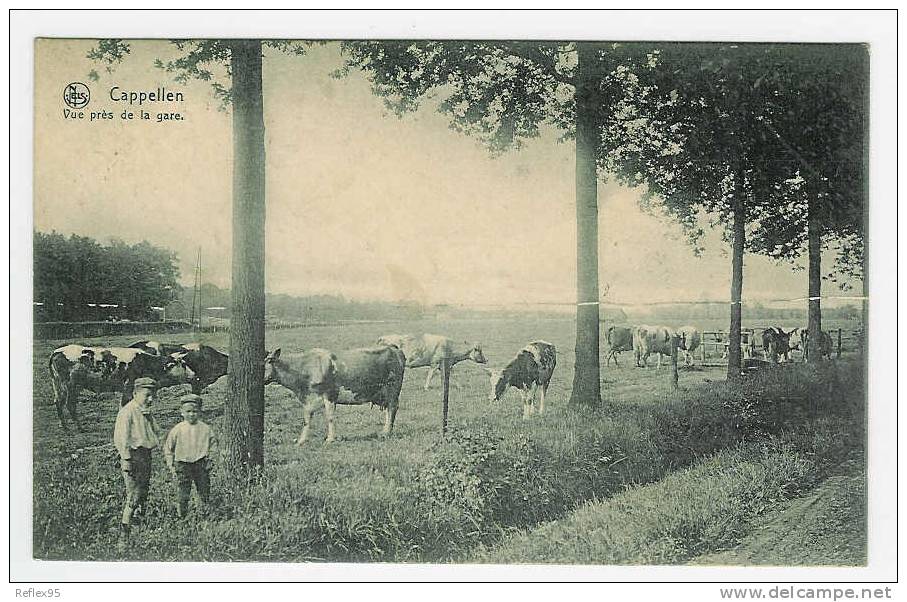 CAPPELLEN - Vue Près De La Gare - Kapellen