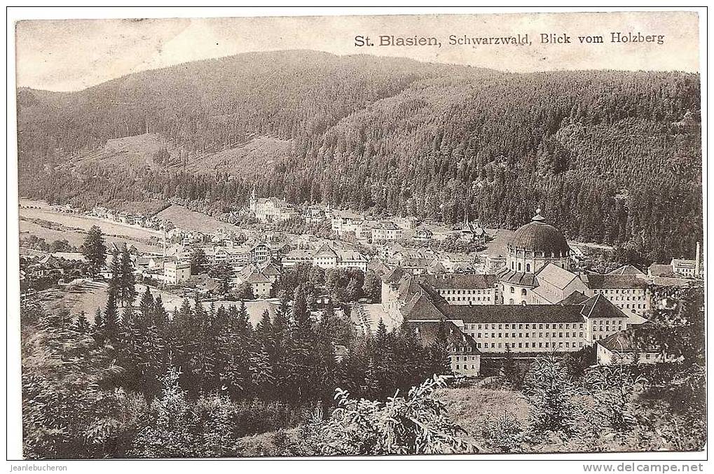 C  .P. A   (   SAINT - BLASIEN  " Schwarzwald  , Blick  Vom Holzberg "   Beau Plan  ) - St. Blasien