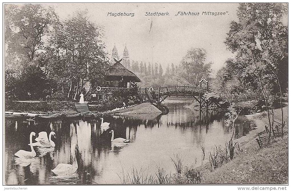 C  .P. A   (  MAGDEBURG  " Stadtpark  "  Beau Plan Rare  ) - Maagdenburg