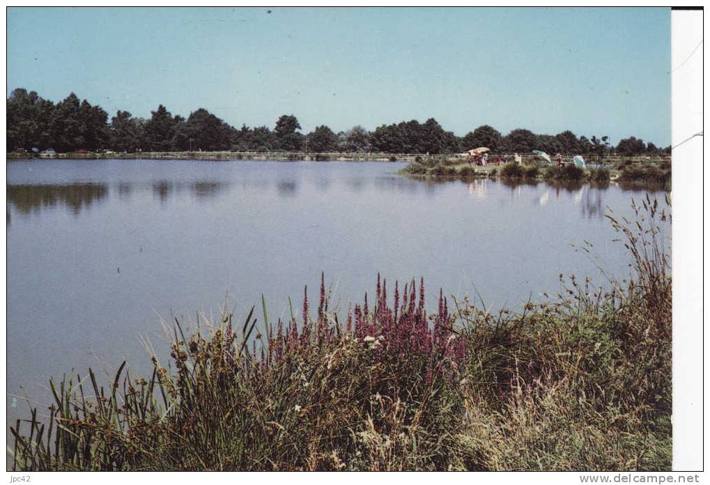 CHATILLON Sur CHALARONNE Environs  étang De  SANDRANS - Châtillon-sur-Chalaronne