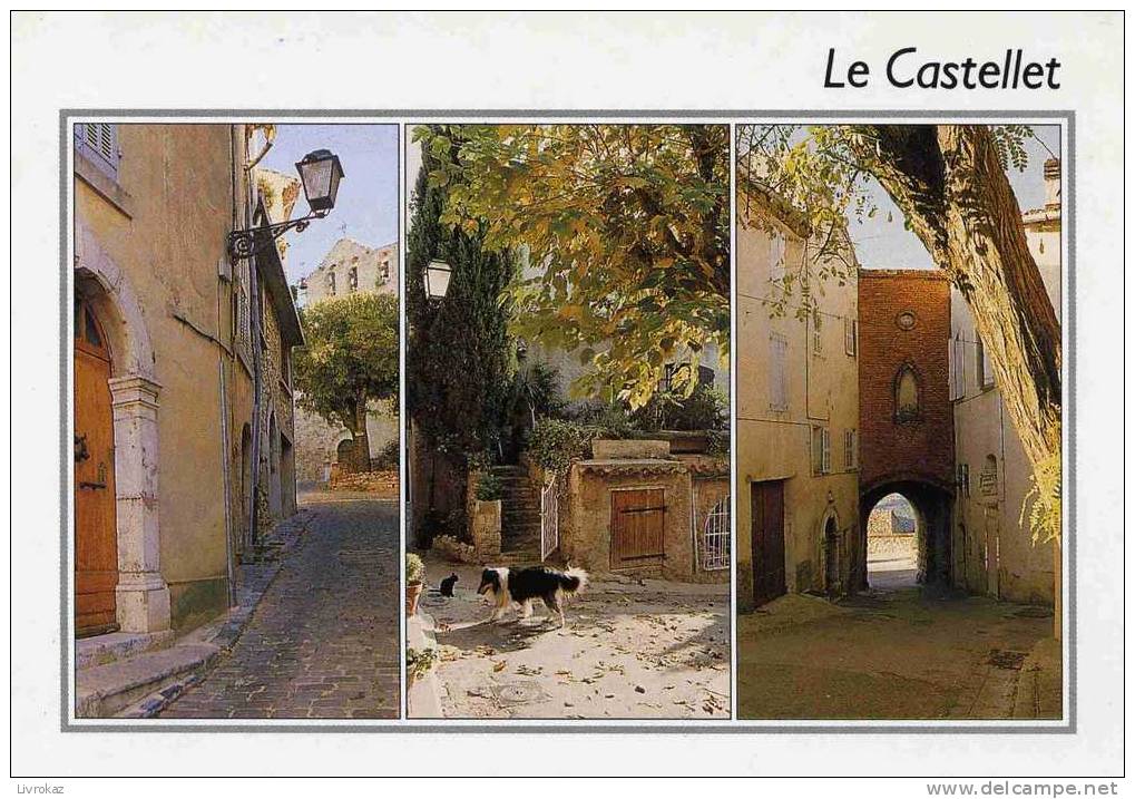 Var, Le Castellet, Carte Multivues - Le Castellet