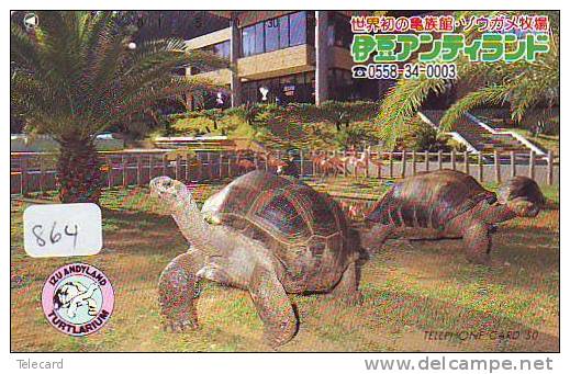 Telecarte Japonaise (864)  TURTLE * TORTUE * SCHILDKRÖTE SCHILDPAD * Telefonkarte Japan  Phonecard - Turtles