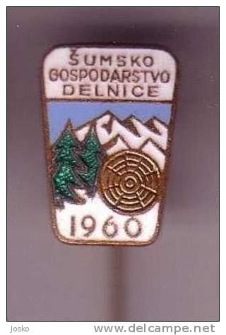 DELNICE ( Croatia ) *  VERY OLD ENAMEL PIN *  Mountaineering Climbing Mountaineer Mountain Mountains Montagne Montagnes - Alpinismo, Escalada