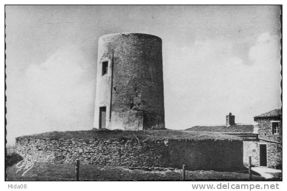 85. POUZAUGES.  LE MOULIN DU PUY CRAPAUD. - Pouzauges