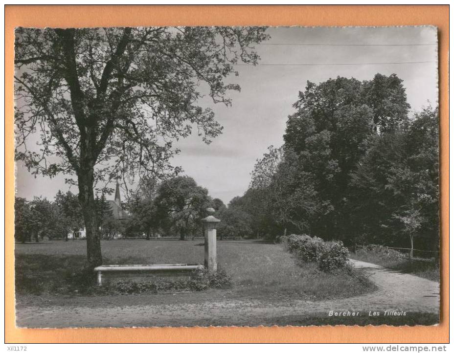 F243 Bercher. Les Tilleuls. Fontaine, Eglise. Grand Format. - Bercher