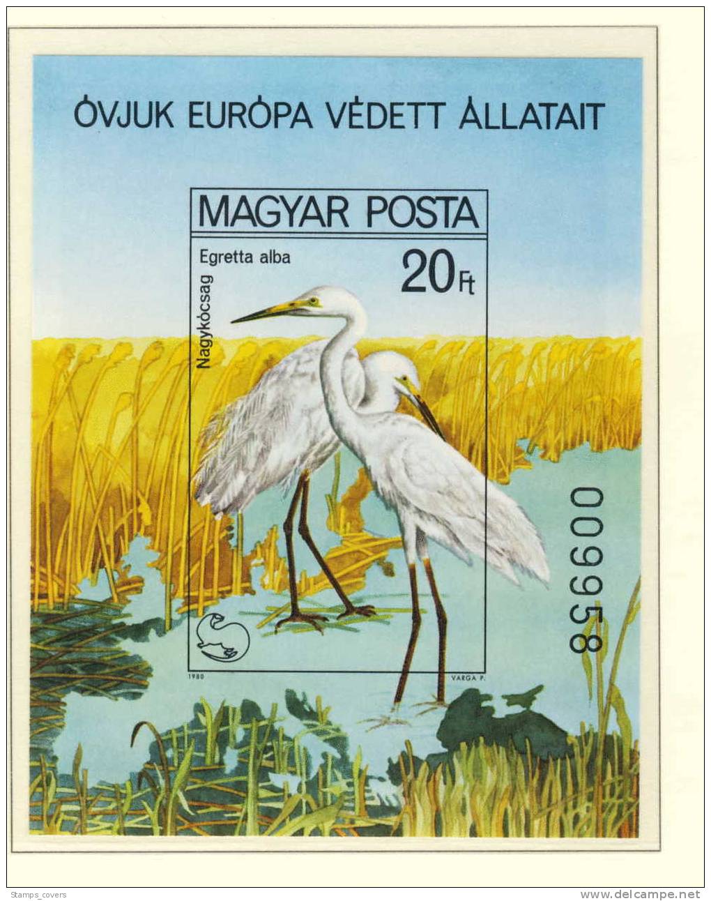 HUNGARY 1980 MNH** IMPERFORED ND MICHEL 3451A/56A, BL 146B OISEAUX BIRDS - Pelicans