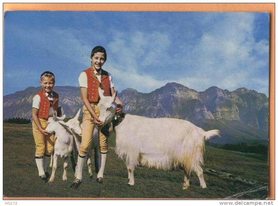 Ch058 2 Jeunes Armaillis Avec Chèvres, Ziege,goat.Vue Sur Le Saentis, Blick Auf Säntis. Cachet Champéry 1975, Léger Pli - Saentis