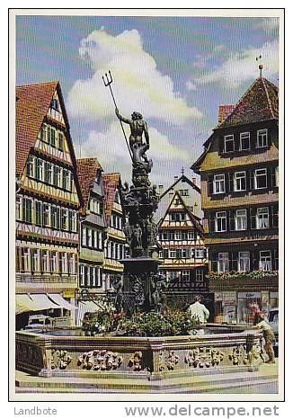 Universitätsstadt Tübingen Marktbrunnen - Tuebingen