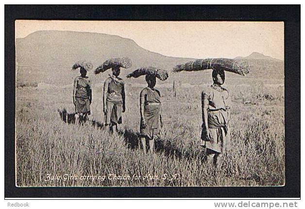 Early Ethnic Postcard Zulu Girls Carrying Thatch For Huts - South Africa - Ref 407 - Unclassified