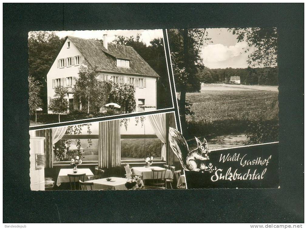 CPSM - Kreis Böblingen - Wald Gasthof SULZBACHTAL ( Hôtel Multivues FELDMANN 7031) - Boeblingen