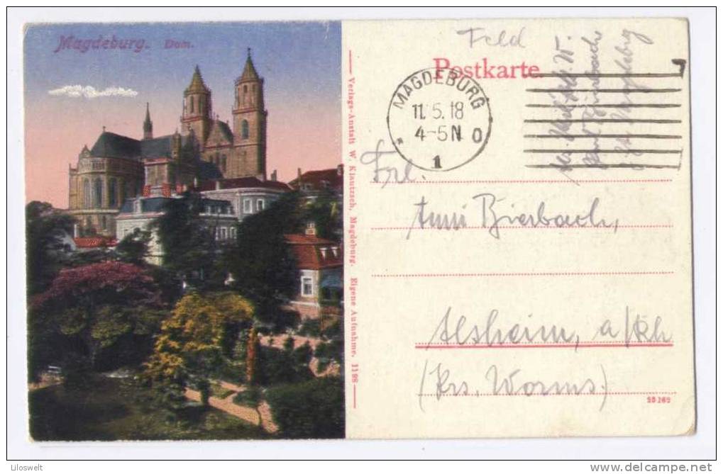 Magdeburg Dom Postkarte Mit Bild 1918 - Magdeburg