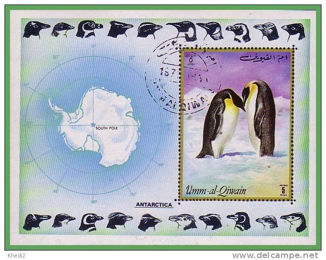 BF Timbre Oiseau MANCHOT PINGOUIN -  PENGUIN Bird Stamp - PINGUIN Briefmarke Block - Pingouins & Manchots