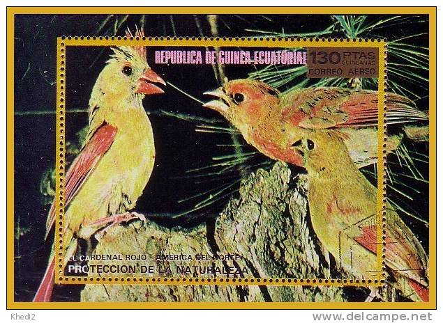 BF Guinée Equatoriale - Bloc Timbre Oiseau Cardinal - Bird Stamp - Vogel Briefmarke Block - Songbirds & Tree Dwellers