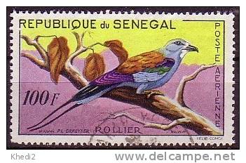 Timbre Sénégal / PA 32 - Animal - Oiseau Rollier - Roller Bird Stamp - Vogel Briefmarke - Passereaux