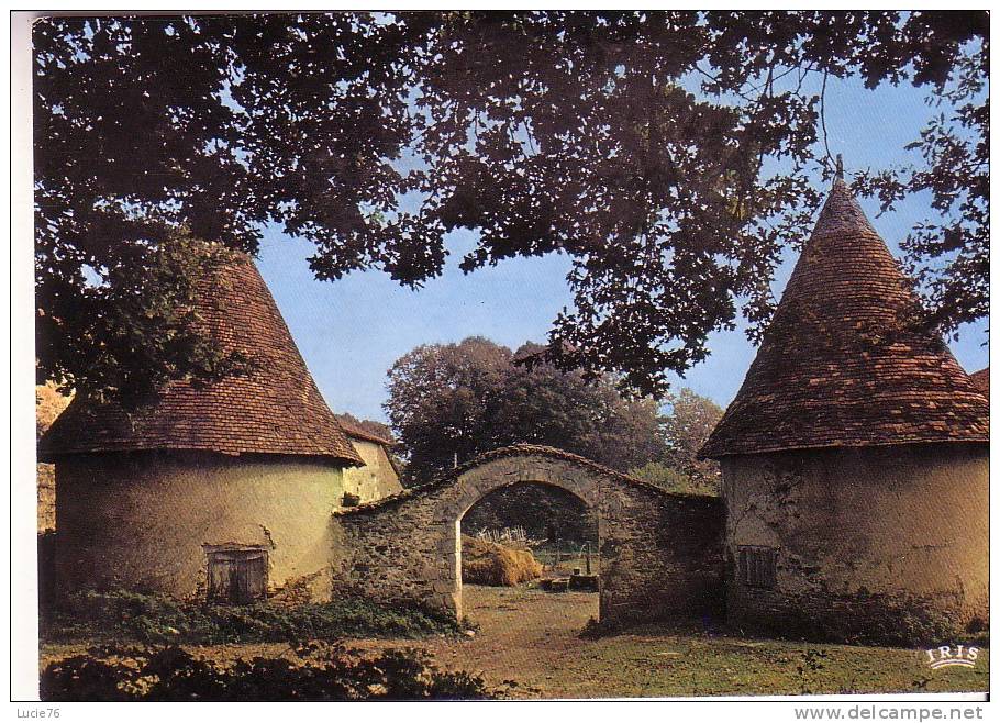 LIMOUSIN    PITTORESQUE  -  Vieille Entrée De Ferme - - Limousin