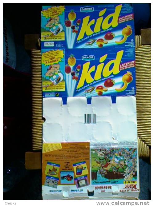 Emballage Cartonné Yaourt Danone Kid Année 1993 Avec Jeu Concours ASTERIX – Format : 25 X 42 Cm Déplié - Asterix