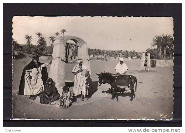 ALGERIE Ghardaia Puits Au M'Zab, Bien Animée, Ed CIM, CPSM 9x14, 1964 *** ETAT *** - Ghardaïa